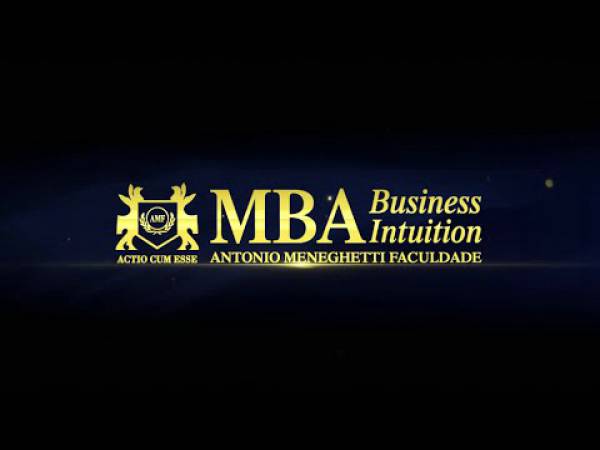 MBA Business Intuition - Identidade Empresarial 2013-2014